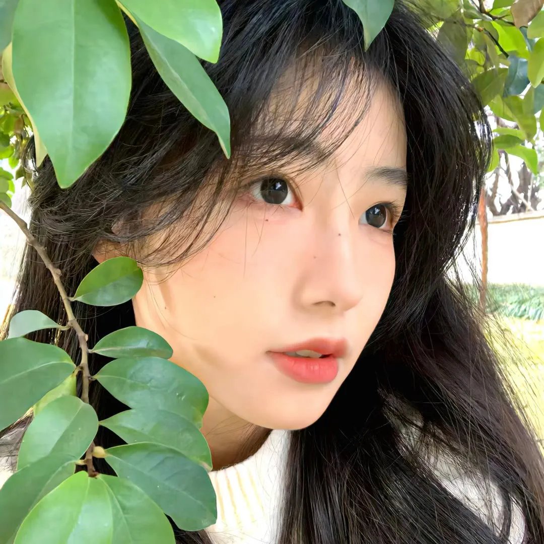 善良的夏吾冬